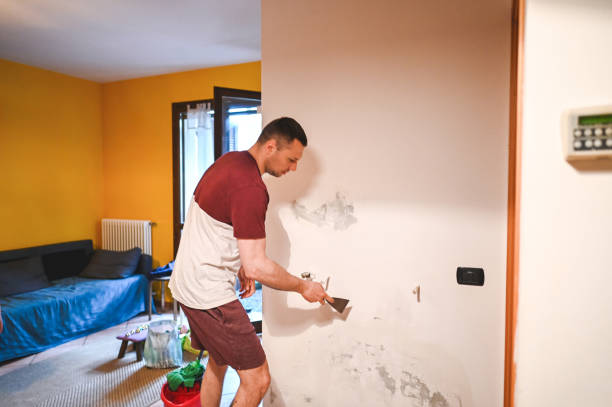 Best Crawl Space Mold Removal  in Britton, SD